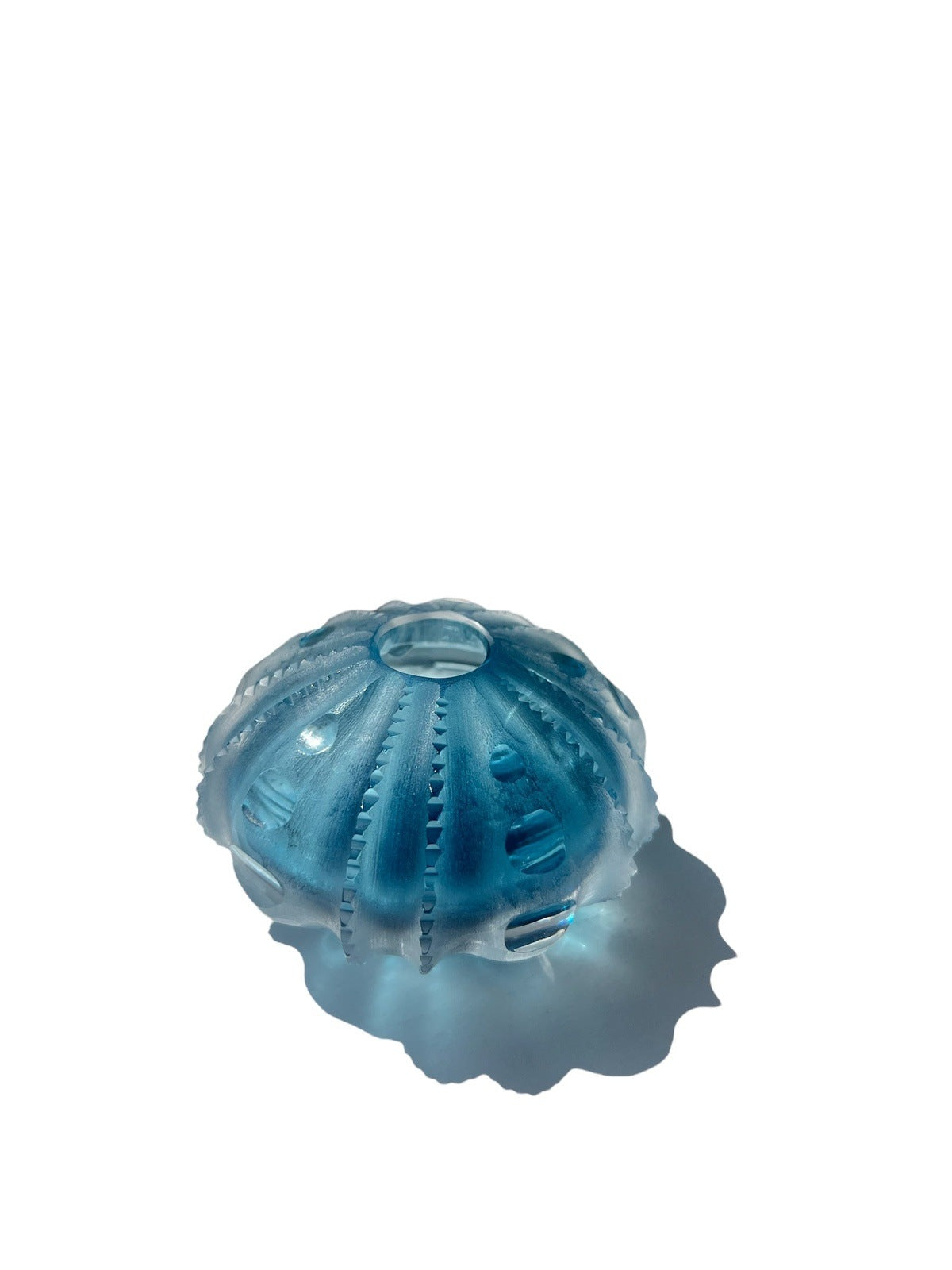 Sea Urchin Vase
