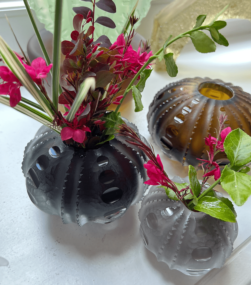 Sea Urchin Vase