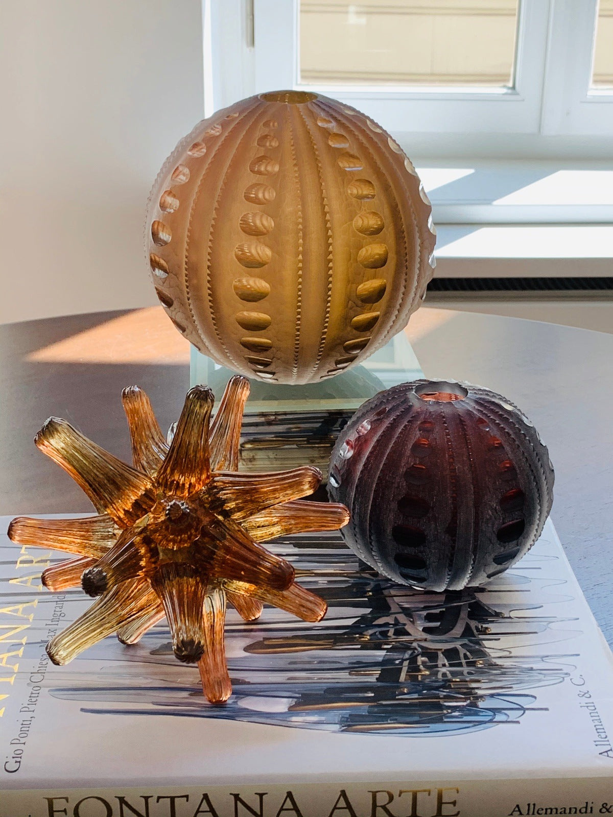 Sea Urchin Glass Sculpture Sunset on a book