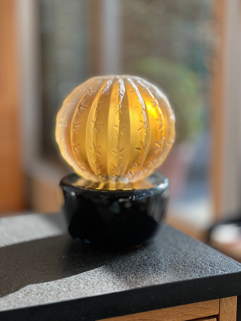 Barrel Cactus Luxury Glass Sculpture Amber