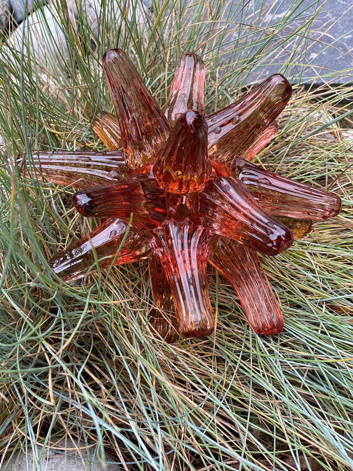 Sea Urchin Glass Sculpture Sunset on hay