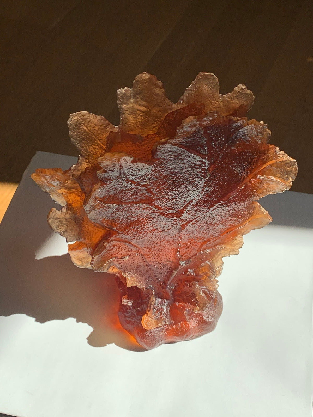 Coral Premium Glass Sculpture Amber top view