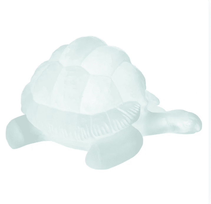 Tortoise Cast Glass Sculpture Ice side view